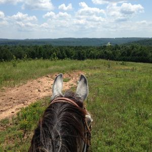 Meet your Posher, Jeffery